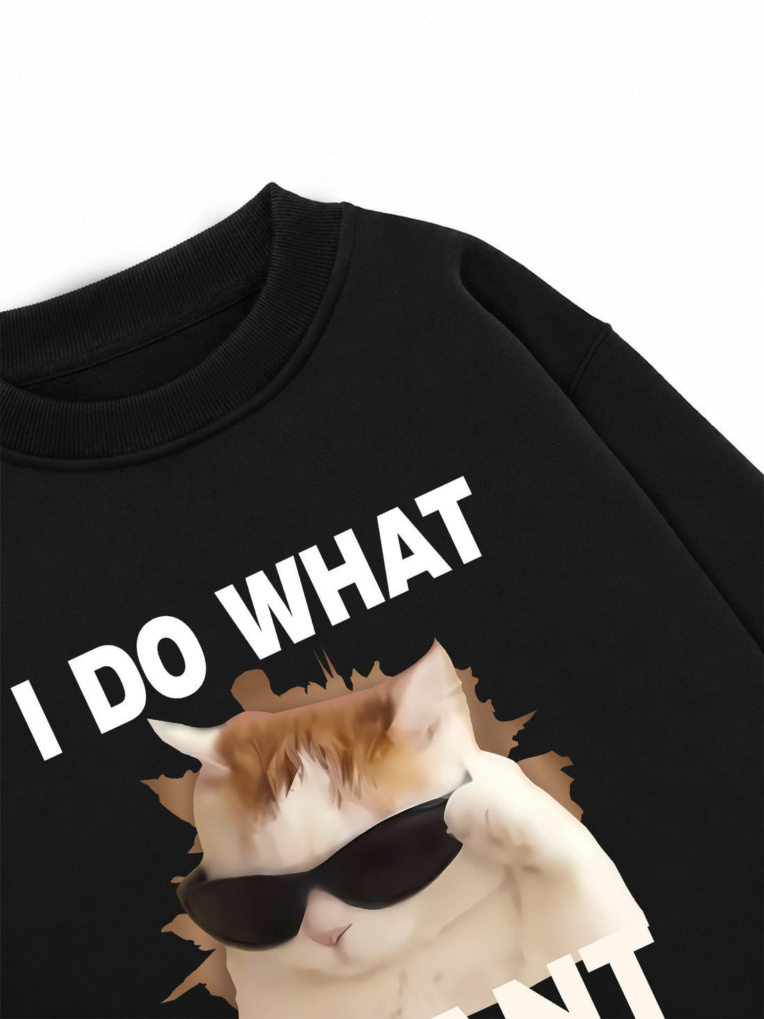 Áo Sweater Nỉ Hai Da I Do What I Want