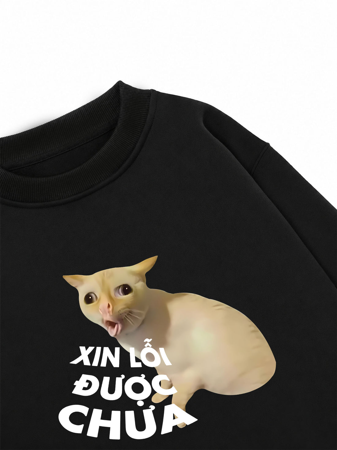 Áo Sweater Nỉ Hai Da Xin Lỗi Được Chưa