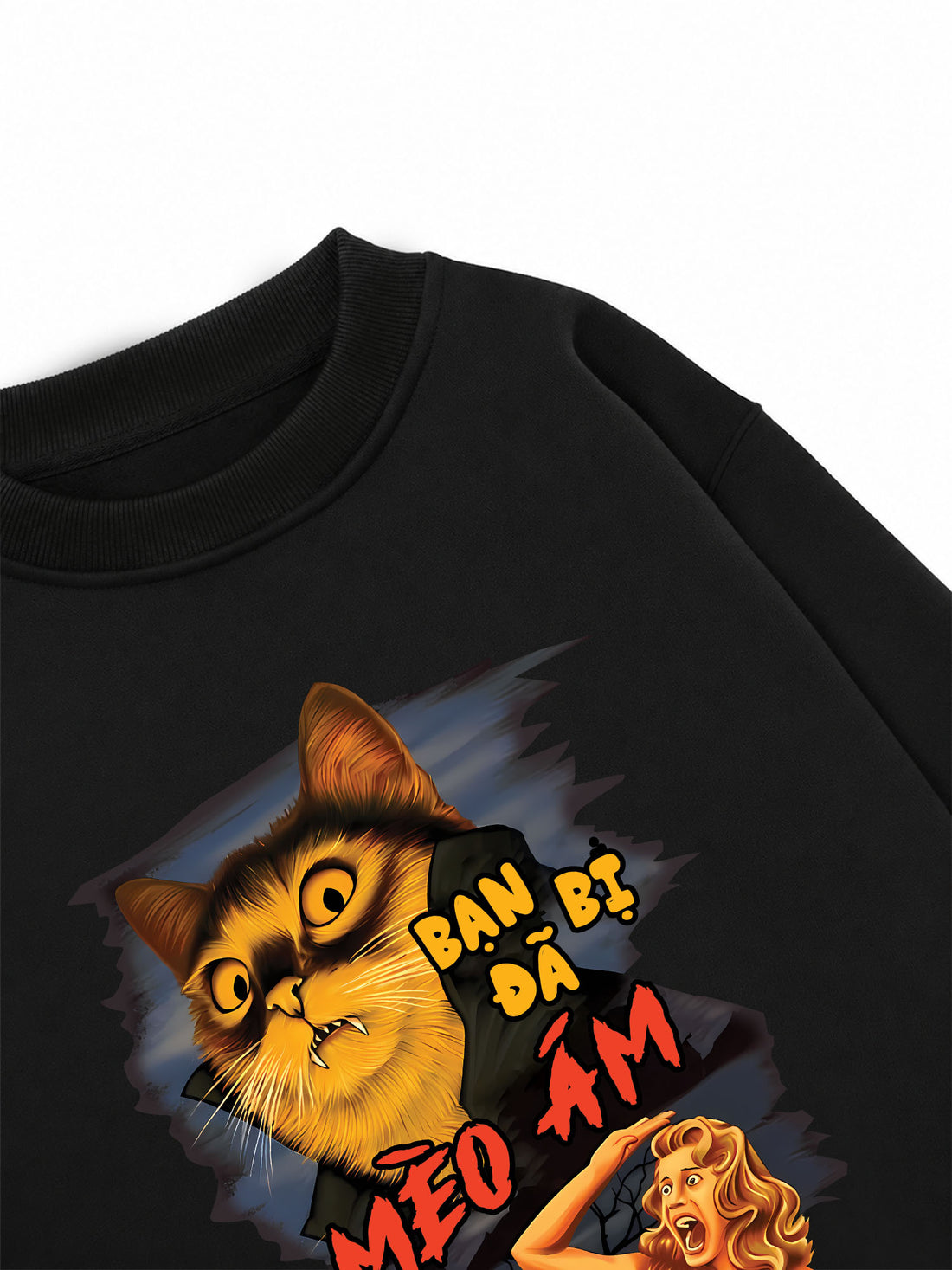 Áo Sweater Nỉ Hai Da Bạn Đã Bị Mèo Ám