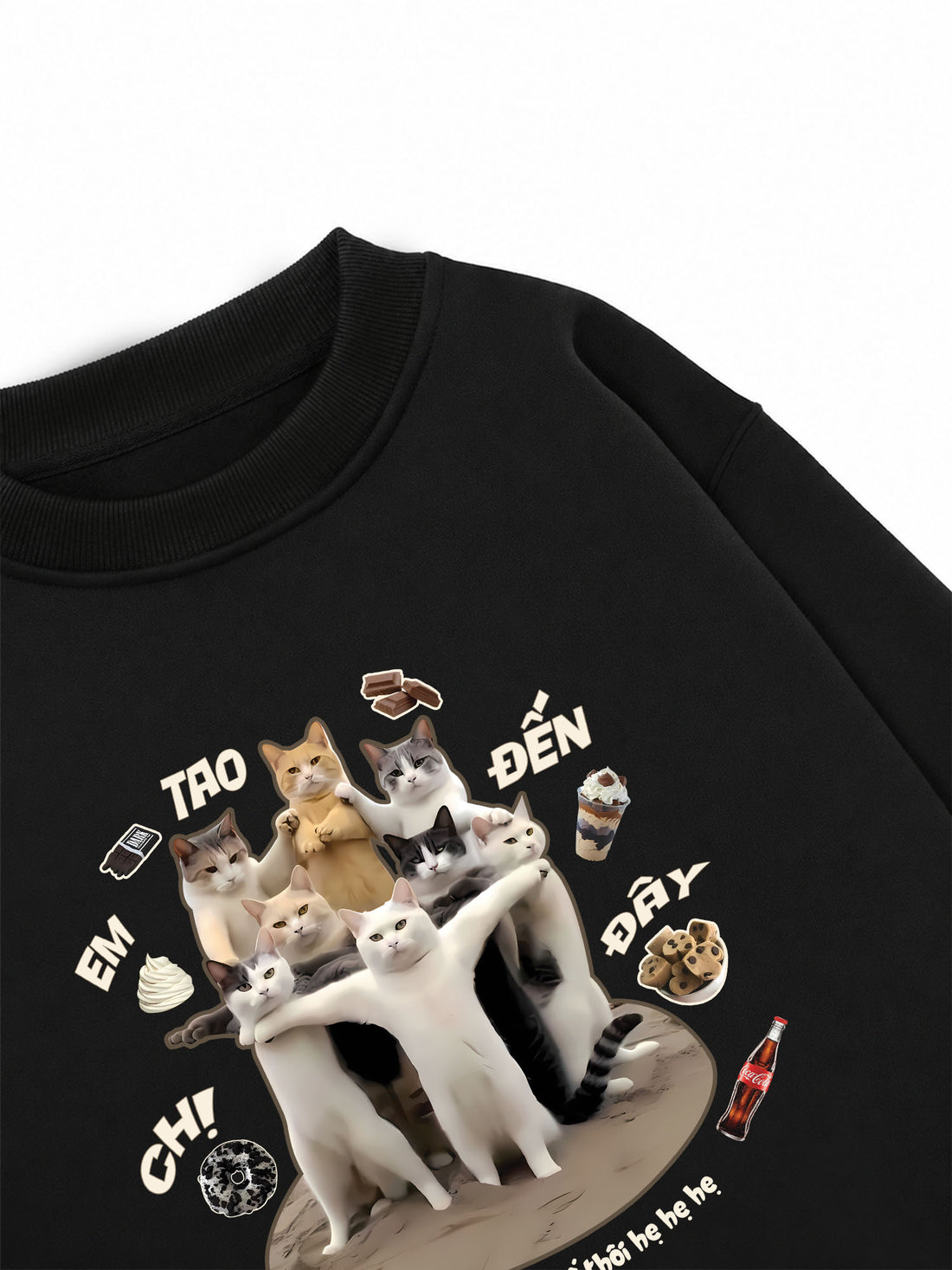 Áo Sweater Nỉ Hai Da Chị Em Tao Đến Đây