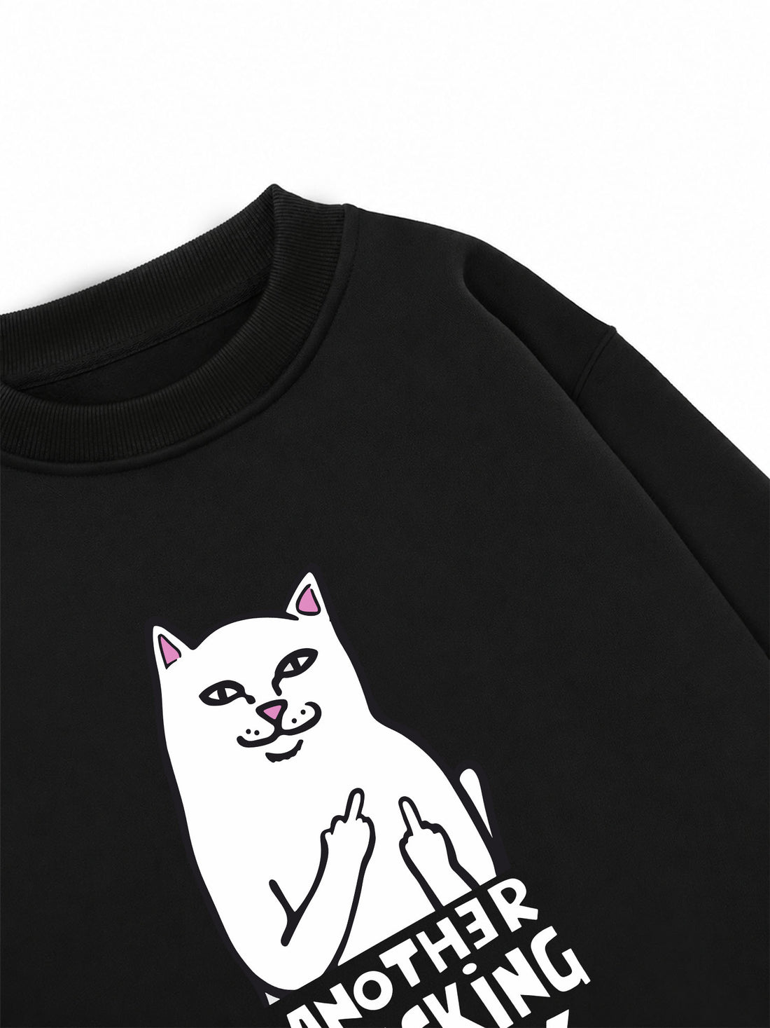 Áo Sweater Nỉ Hai Da Another Fcking Day