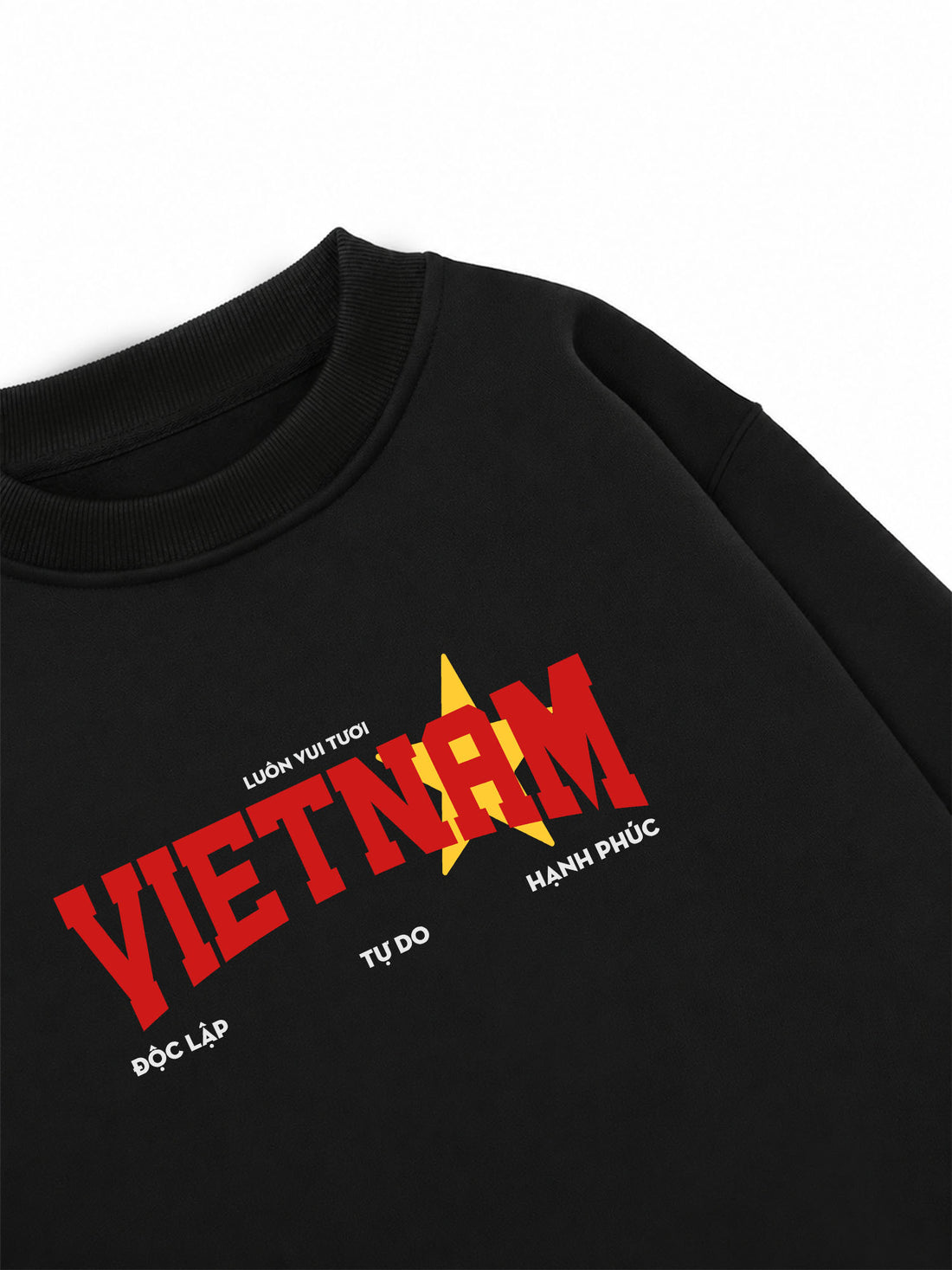 Áo Sweater Nỉ Hai Da Việt Style