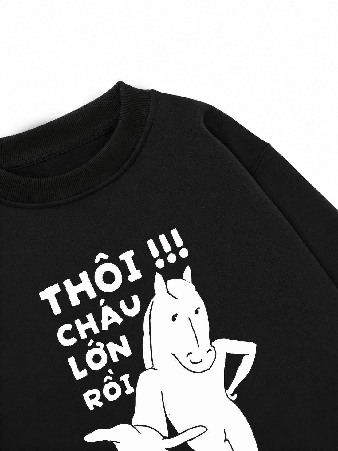 Áo Sweater Nỉ Hai Da Gấp Đôi Thì Được