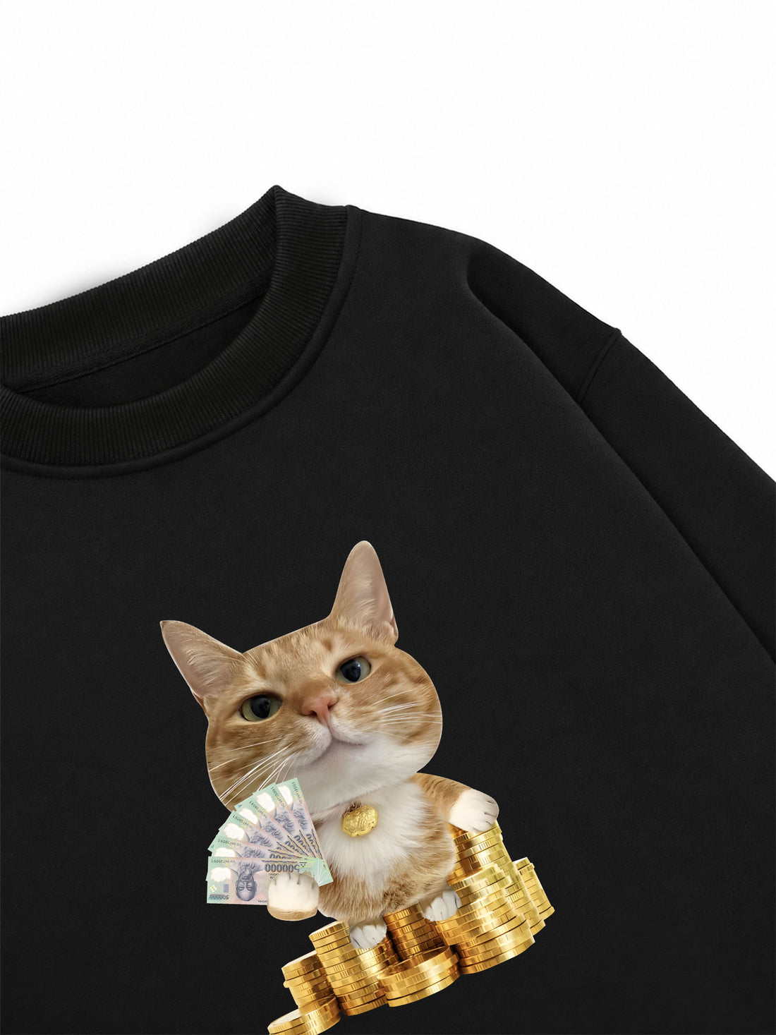 Áo Sweater Nỉ Hai Da Ngồi Trên Đống Tiền
