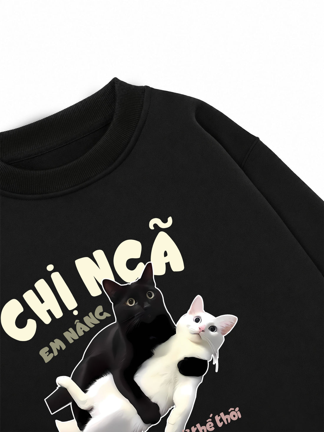 Áo Sweater Nỉ Hai Da Chị Ngã Em Nâng