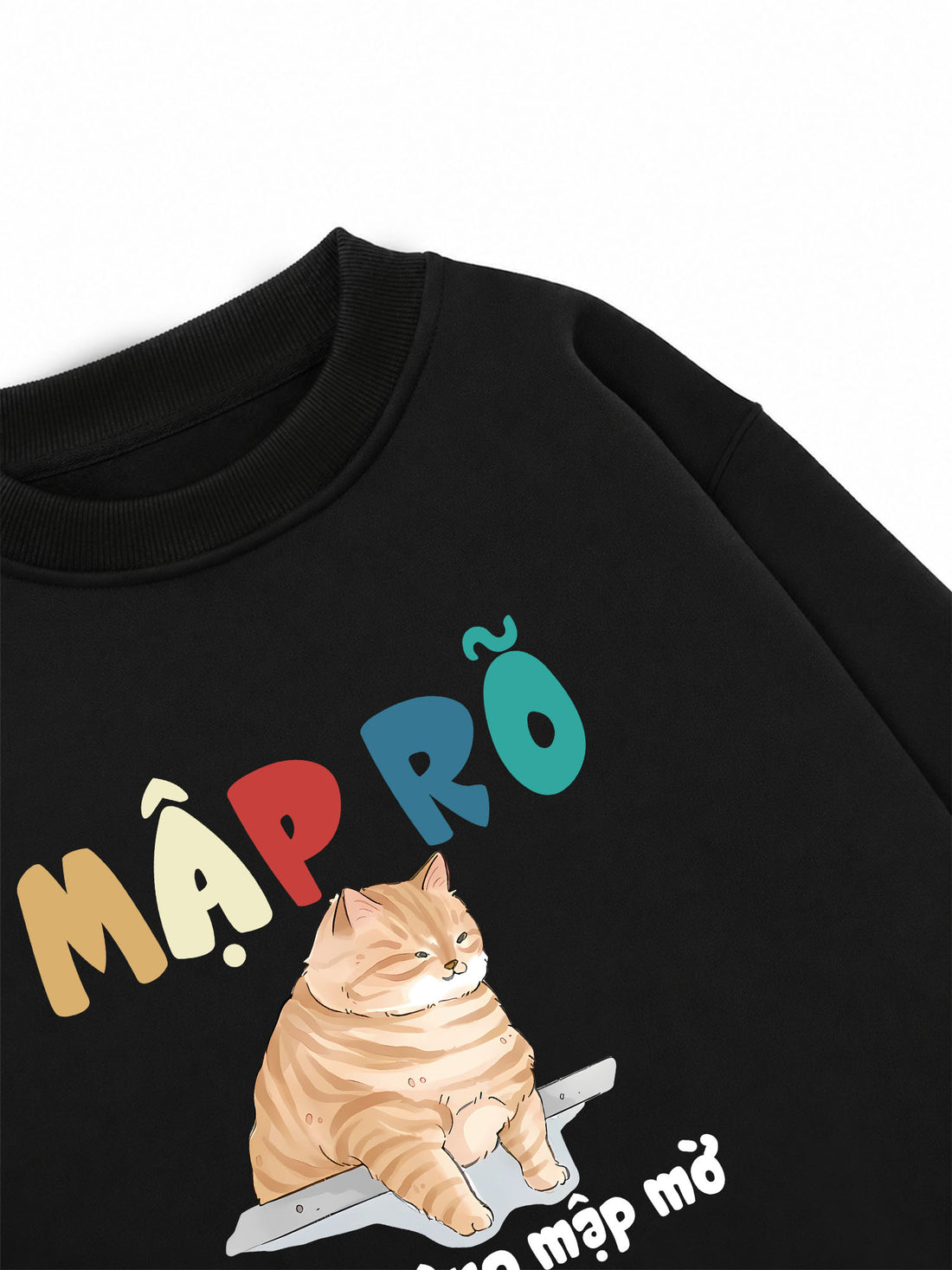 Áo Sweater Nỉ Hai Da Mập Rõ Chứ Không Mập Mờ