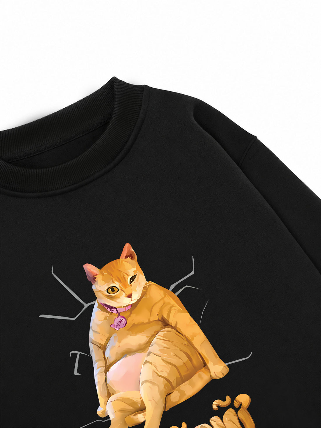 Áo Sweater Nỉ Hai Da Mỹ Nữ Bầy Hầy