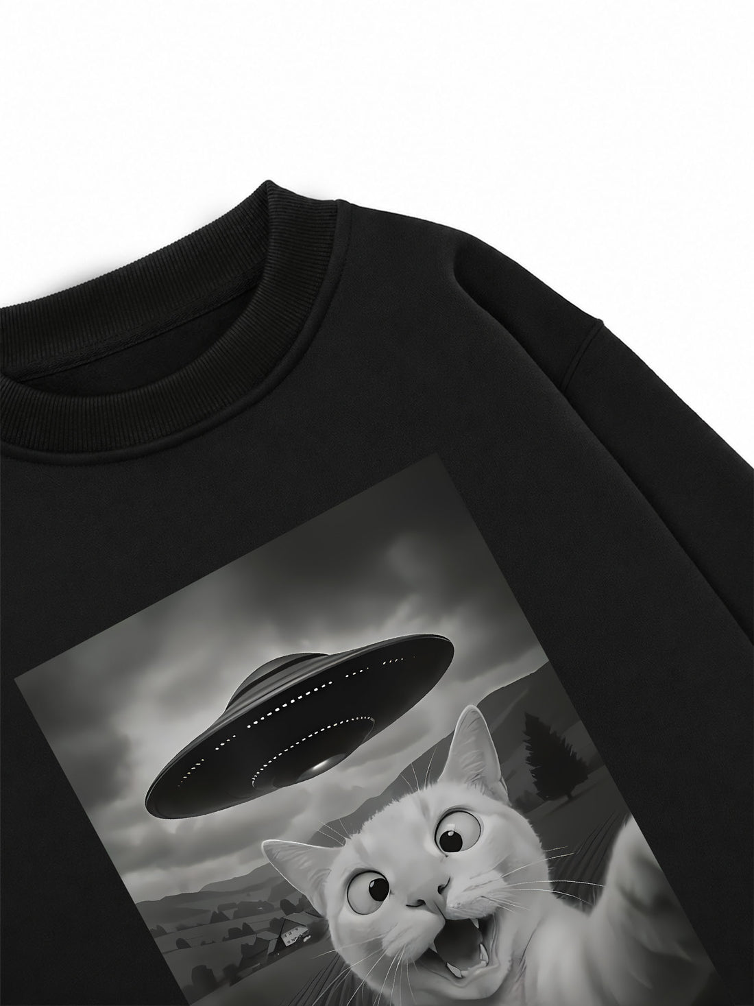 Áo Sweater Nỉ Hai Da UFO Mèo Hú Hồn
