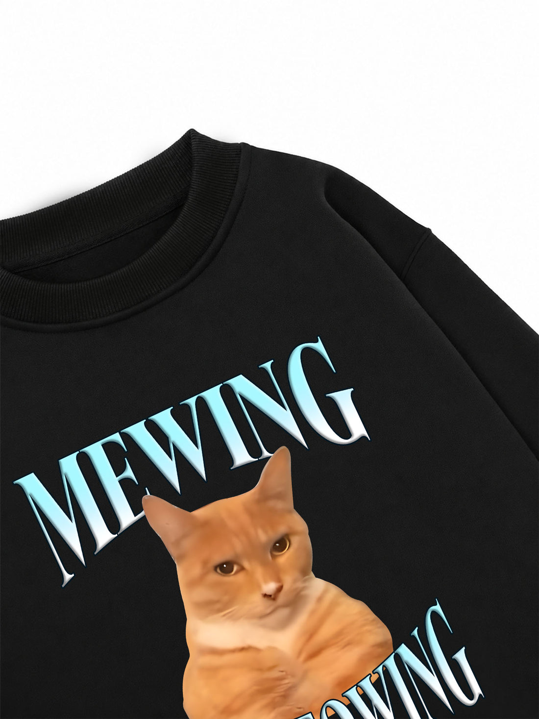 Áo Sweater Nỉ Hai Da Mewing Not Meowing