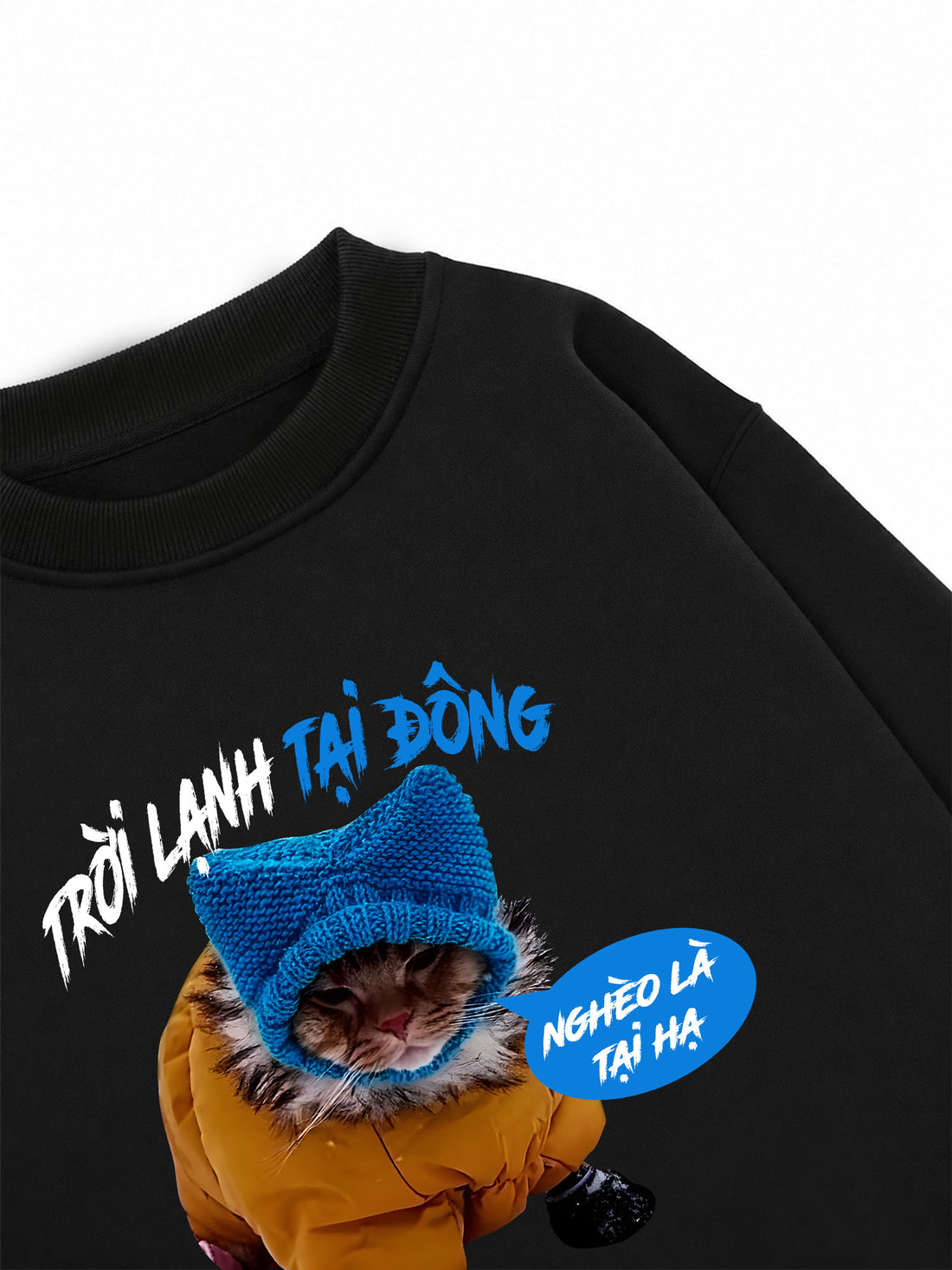 Áo Sweater Nỉ Hai Da Trời Lạnh Tại Đông