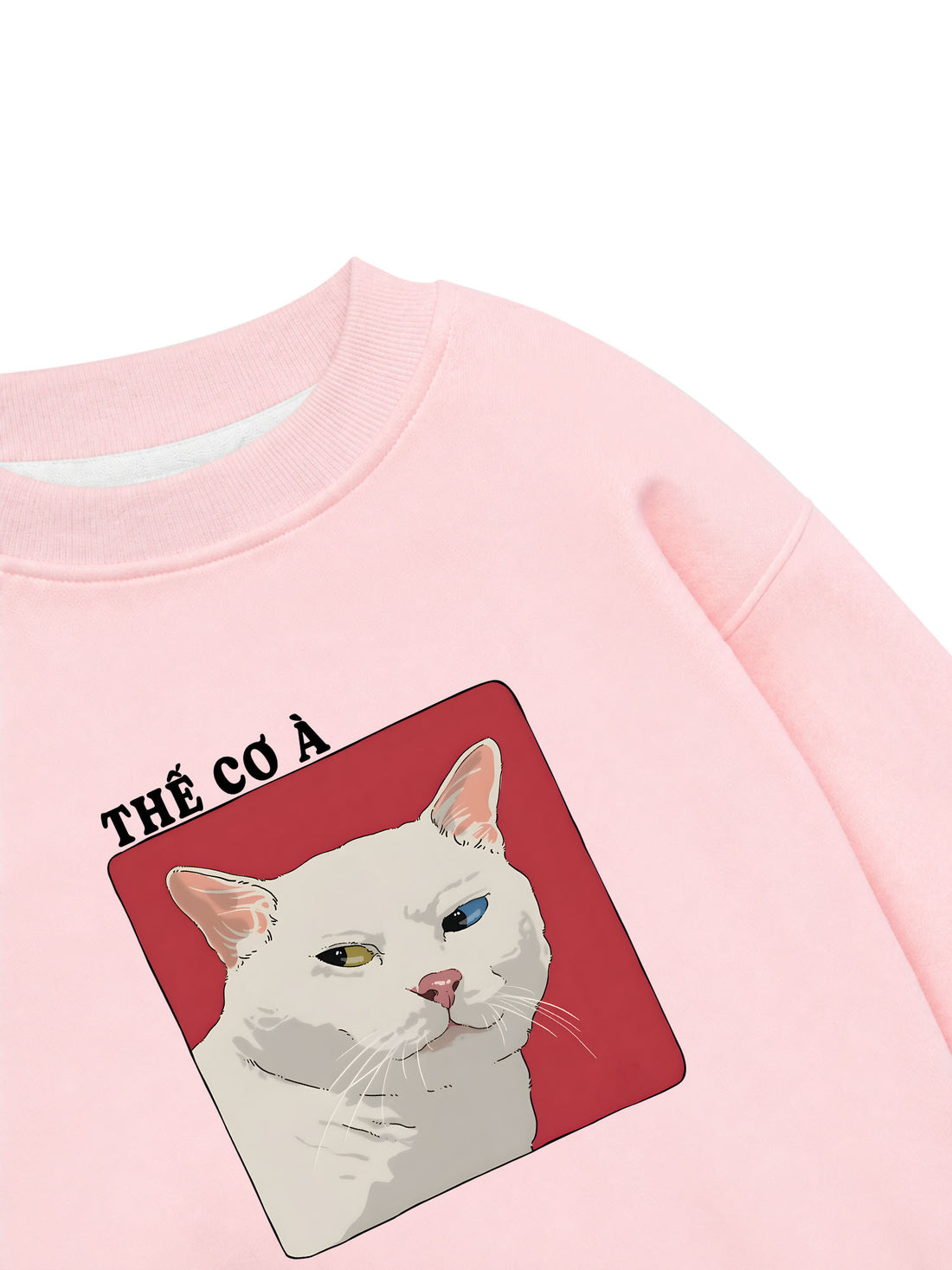 Áo Sweater Nỉ Hai Da Thế Cơ À Cat