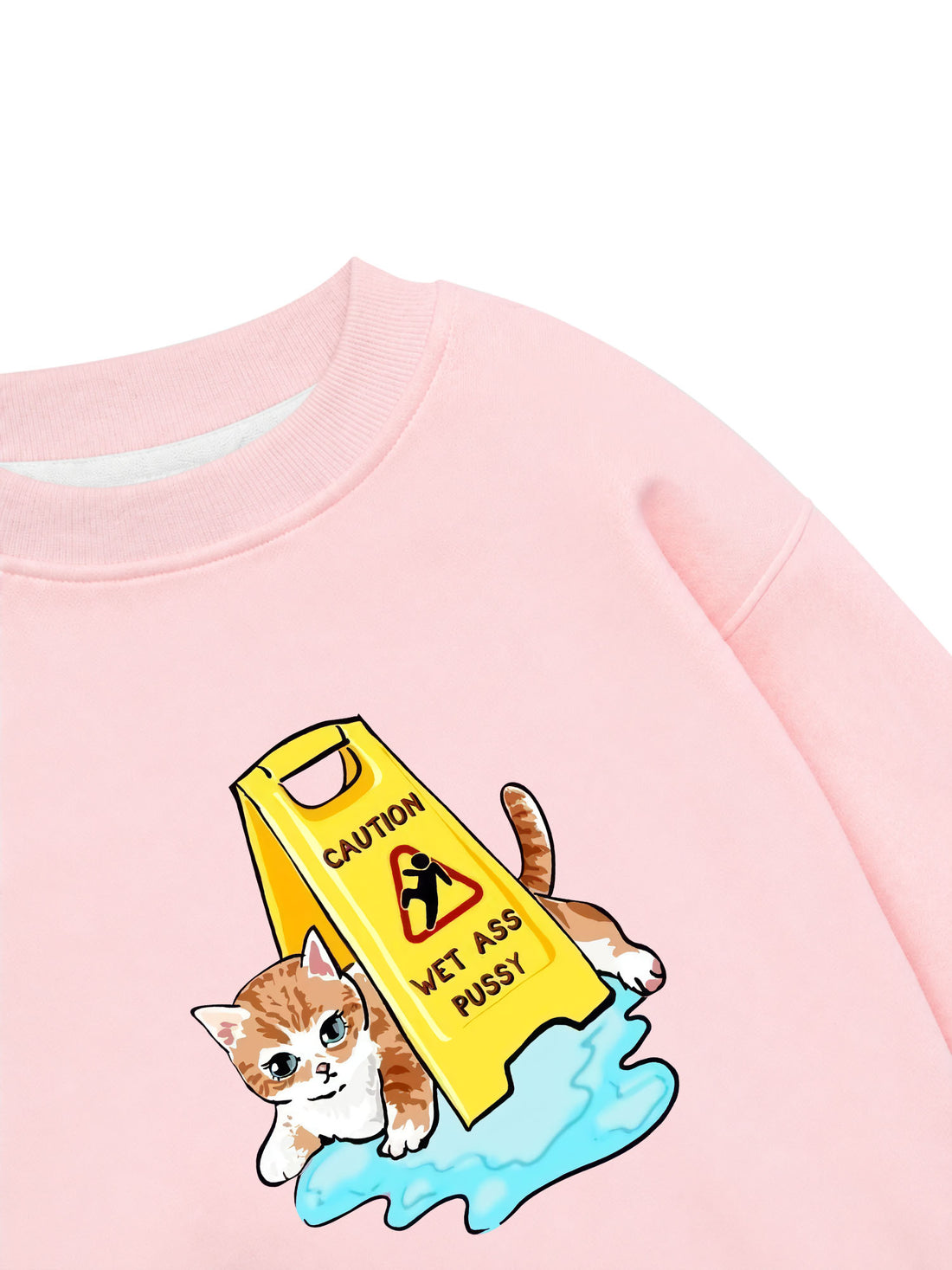 Áo Sweater Nỉ Hai Da Wet Ass Pussy