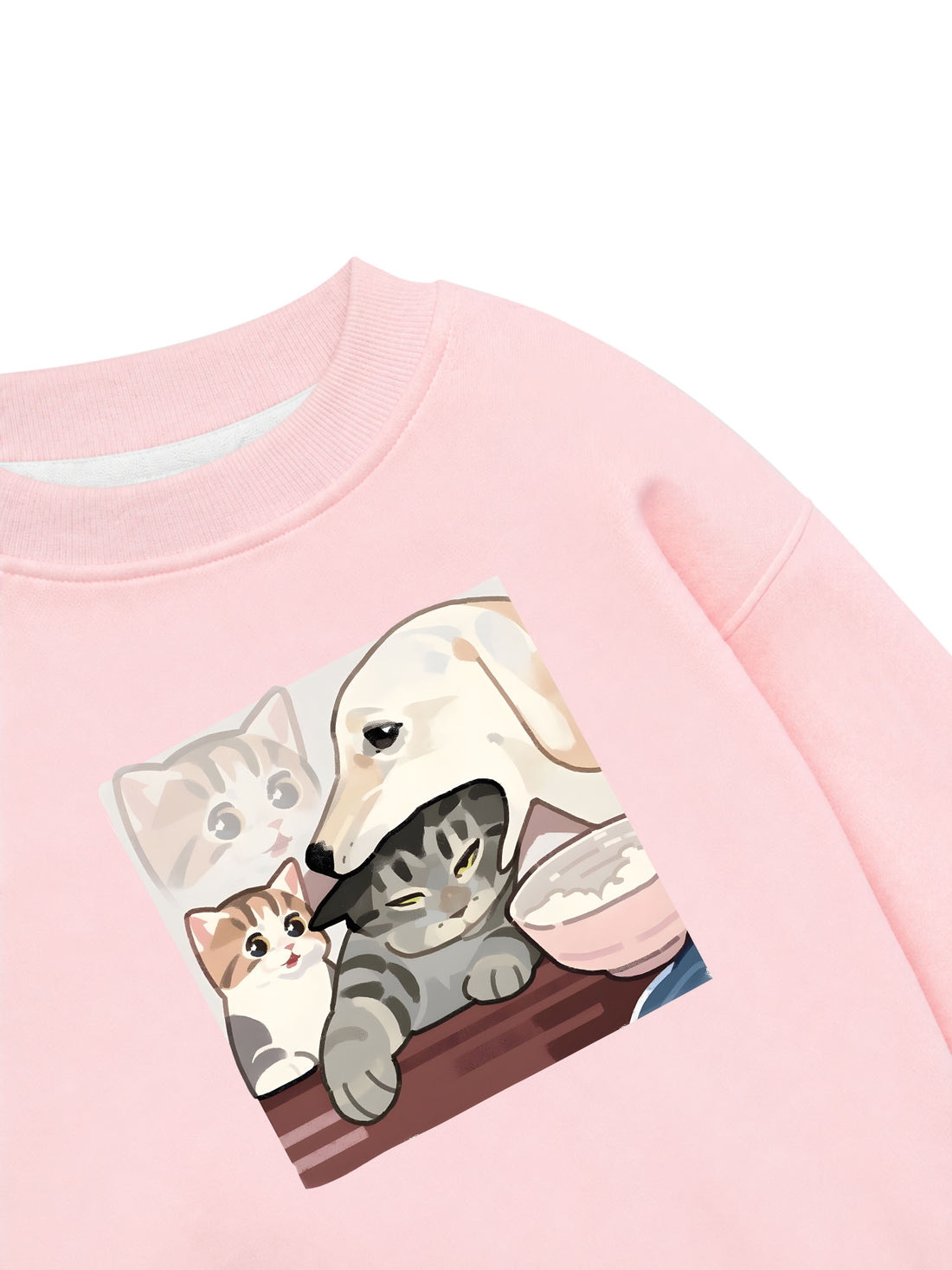 Áo Sweater Nỉ Hai Da Ngoạm Đầu