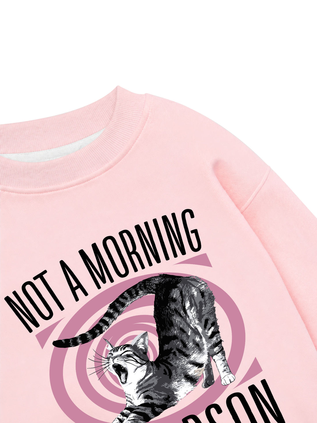Áo Sweater Nỉ Hai Da Not A Morning Purrrson