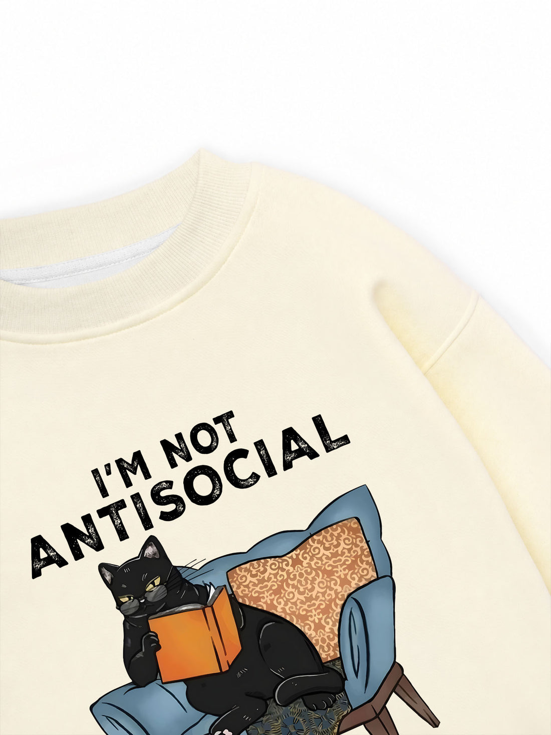 Áo Sweater Nỉ Hai Da I'm Not Antisocial