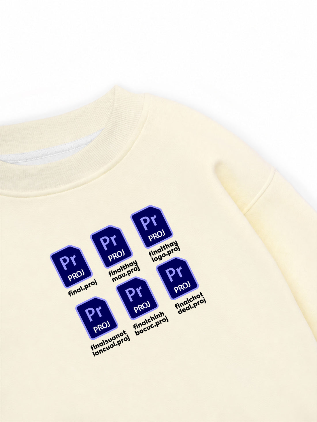 Áo Sweater Nỉ Hai Da Final Pr