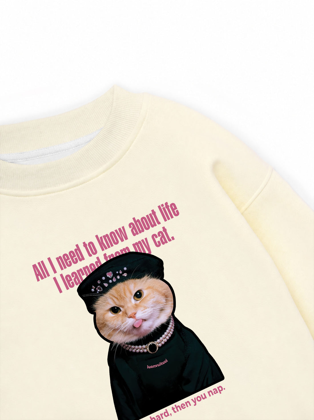 Áo Sweater Nỉ Hai Da All I Need to Know about Life