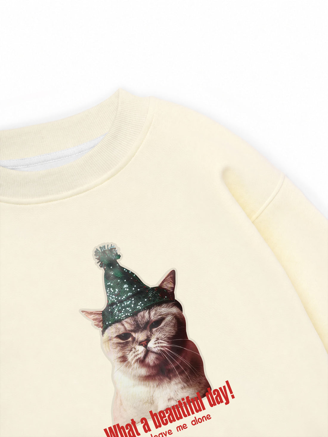 Áo Sweater Nỉ Hai Da What a beautiful day !