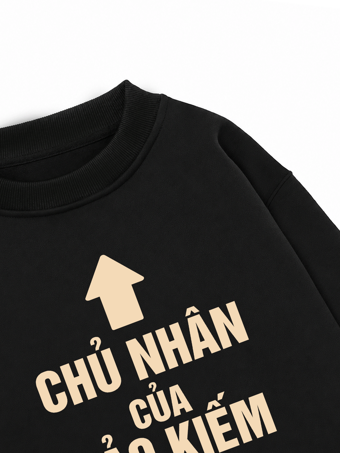 Áo Sweater Nỉ Hai Da Chủ Nhân Của Bảo Kiếm