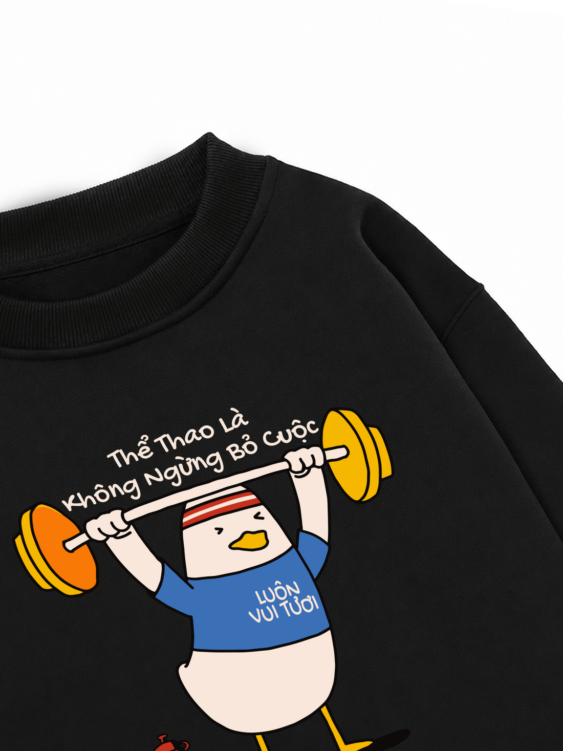 Áo Sweater Nỉ Hai Da Thể Dục Thể Thao