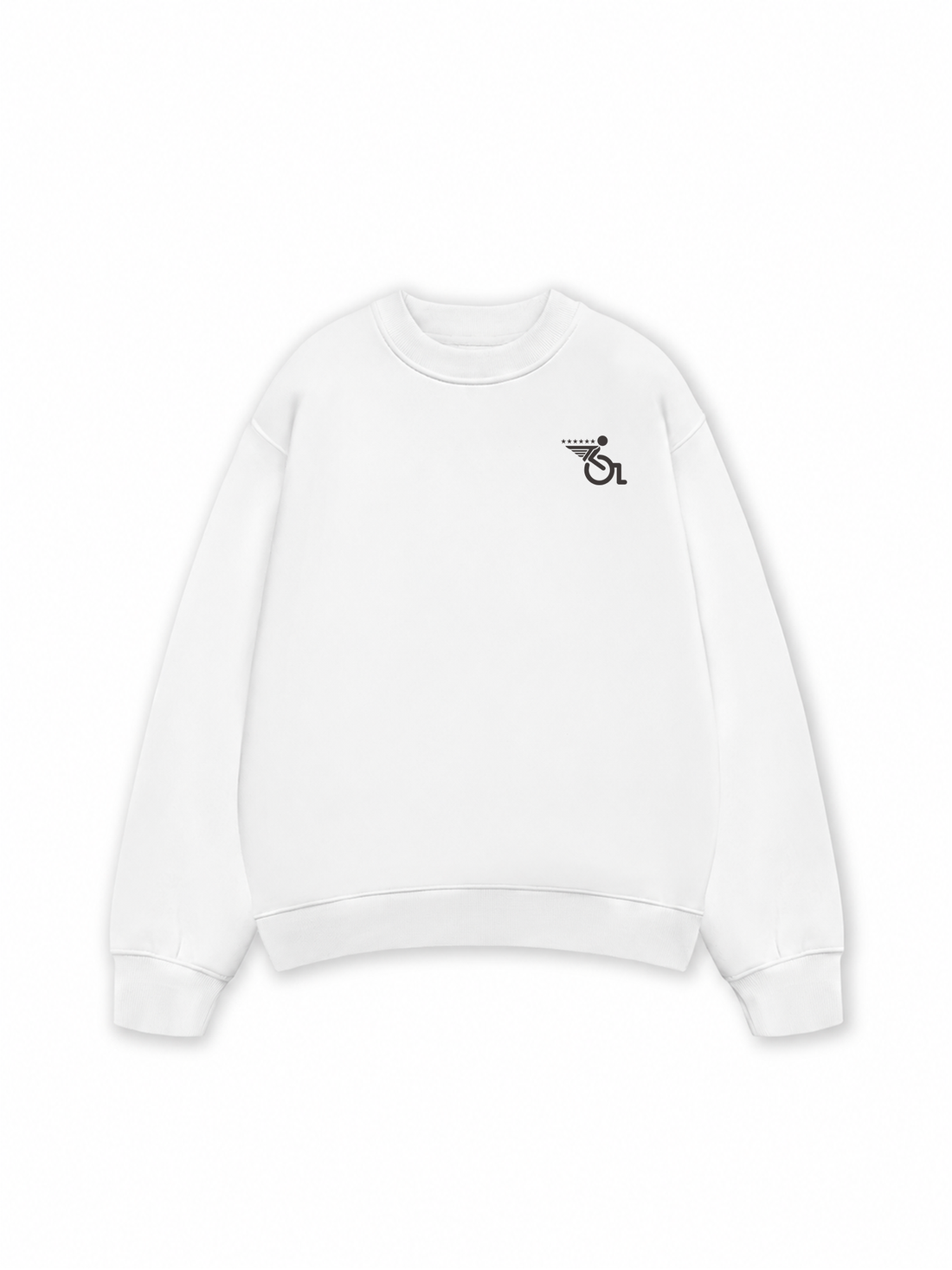 Áo Sweater Nỉ Hai Da Chú Bé Tê Liệt