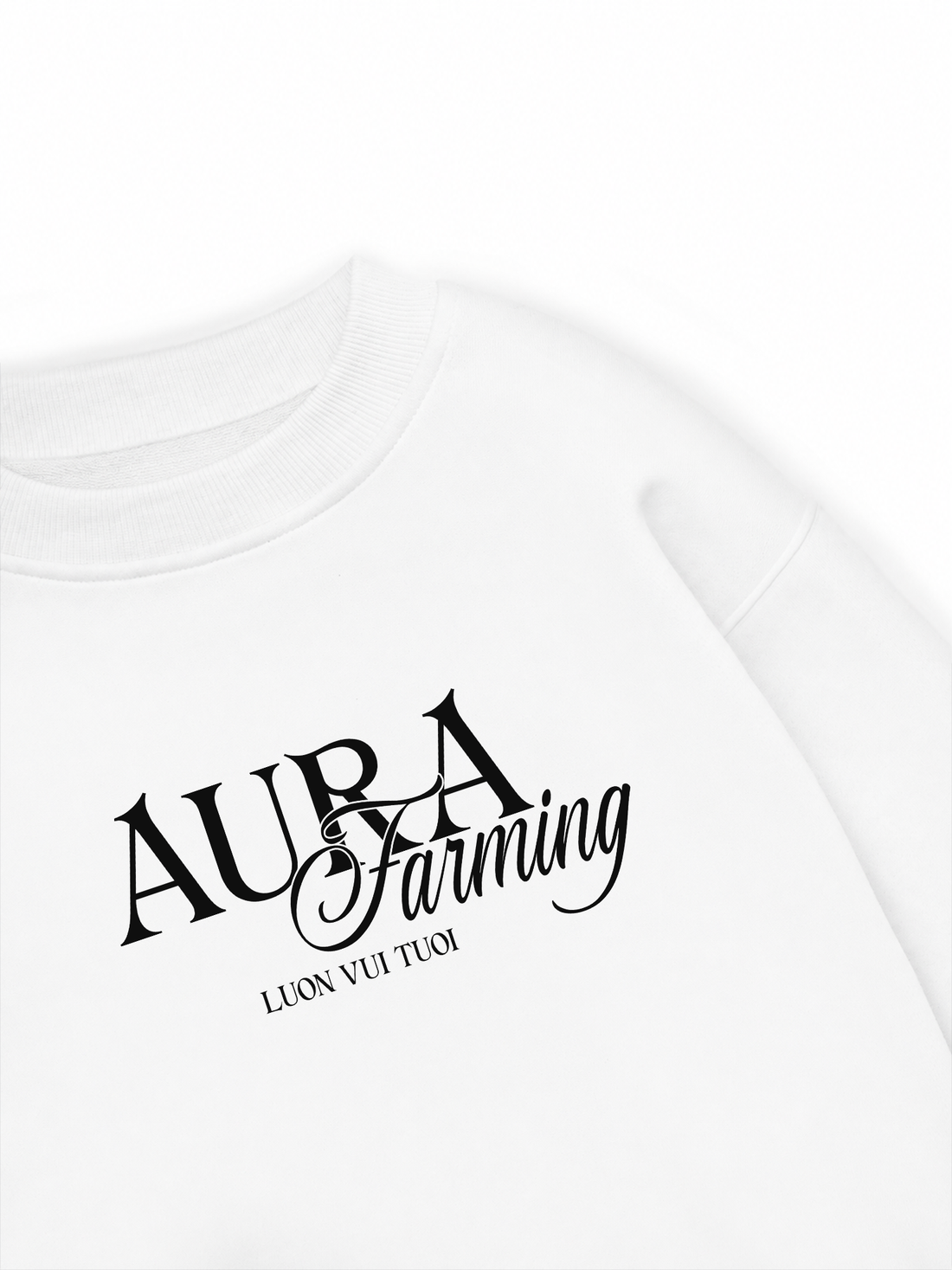 Áo Sweater Nỉ Hai Da Aura Farming