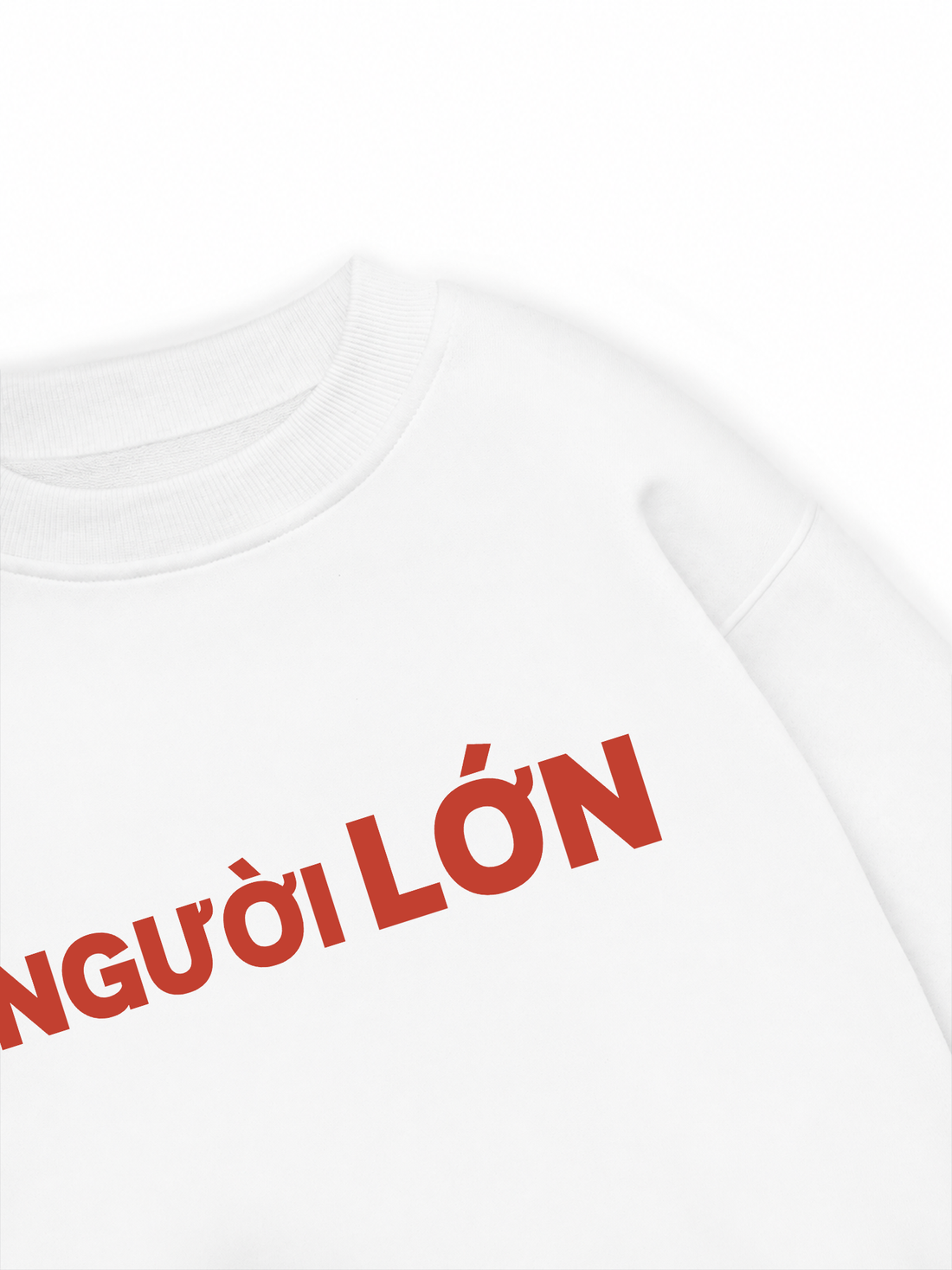 Áo Sweater Nỉ Hai Da Người Lớn