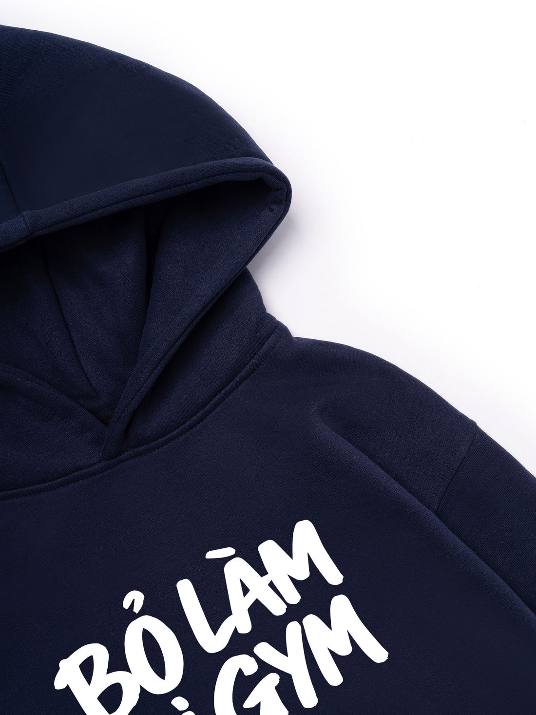 Áo Hoodie Nỉ Hai Da   Bỏ Làm Đi Gym