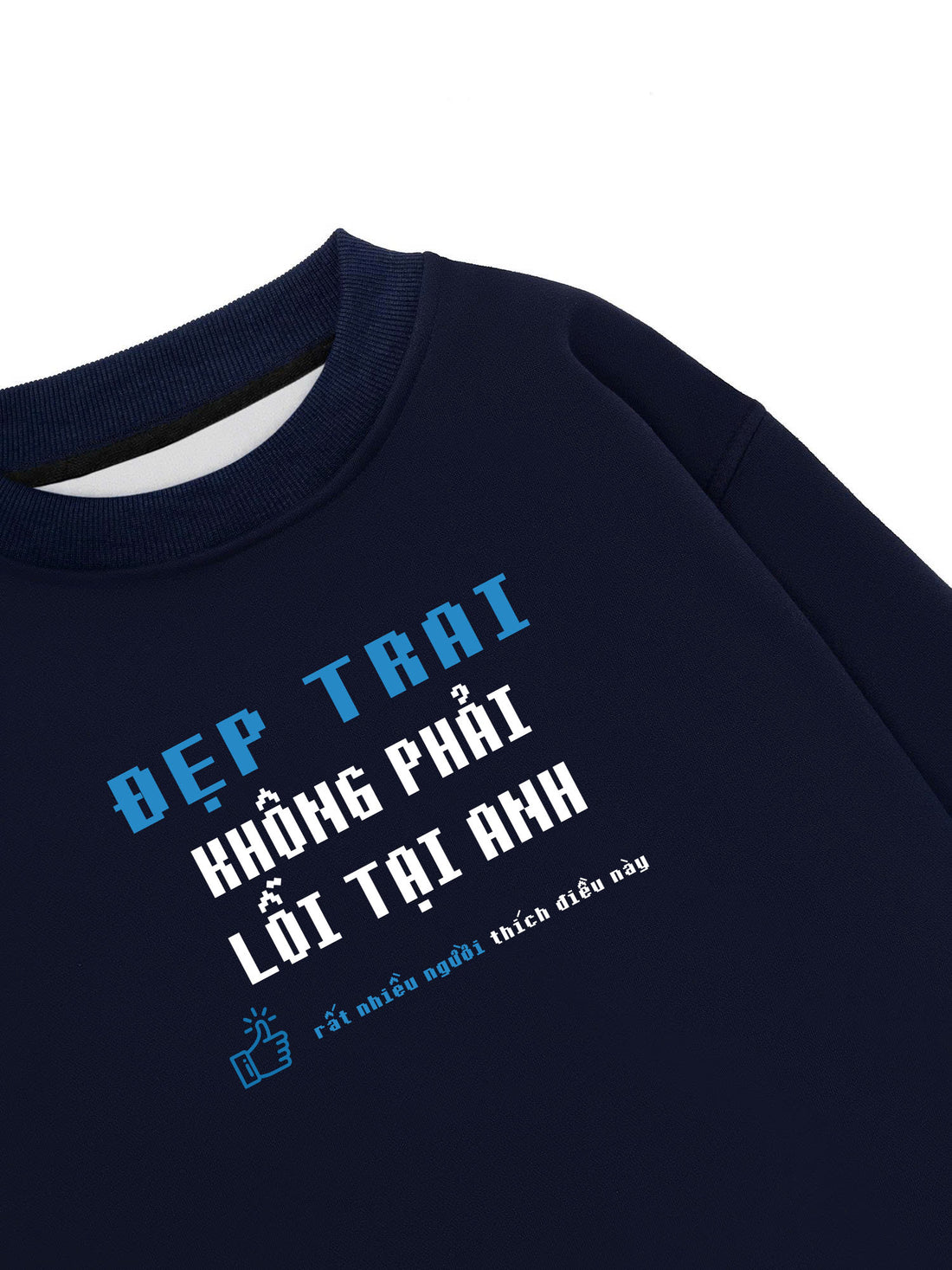Áo Sweater Nỉ Hai Da Đẹp Trai Không Phải Lỗi Tại Anh