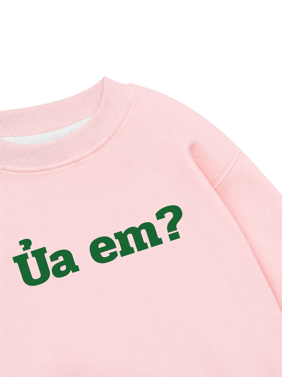 Áo Sweater Nỉ Hai Da Ủa em