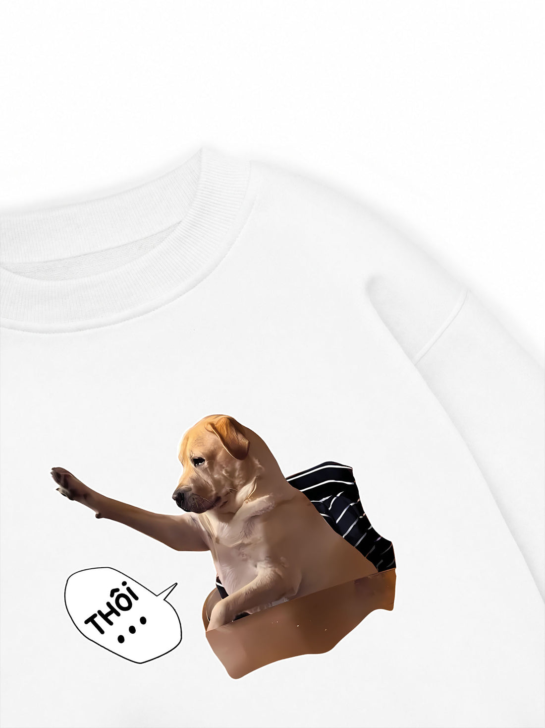 Áo Sweater Nỉ Hai Da Meme Tổng Tài