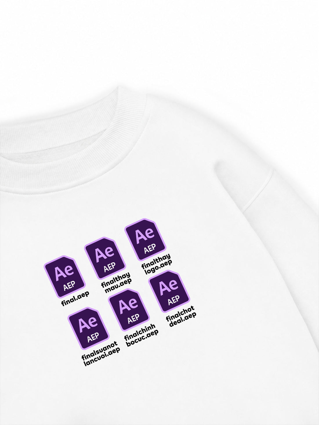 Áo Sweater Nỉ Hai Da Final Ae
