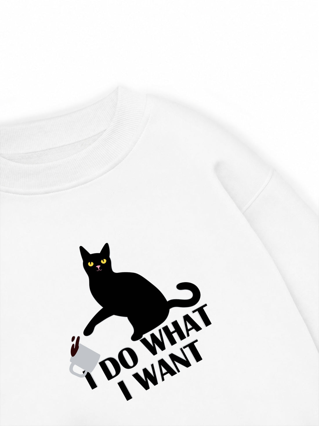 Áo Sweater Nỉ Hai Da I Do What I Want