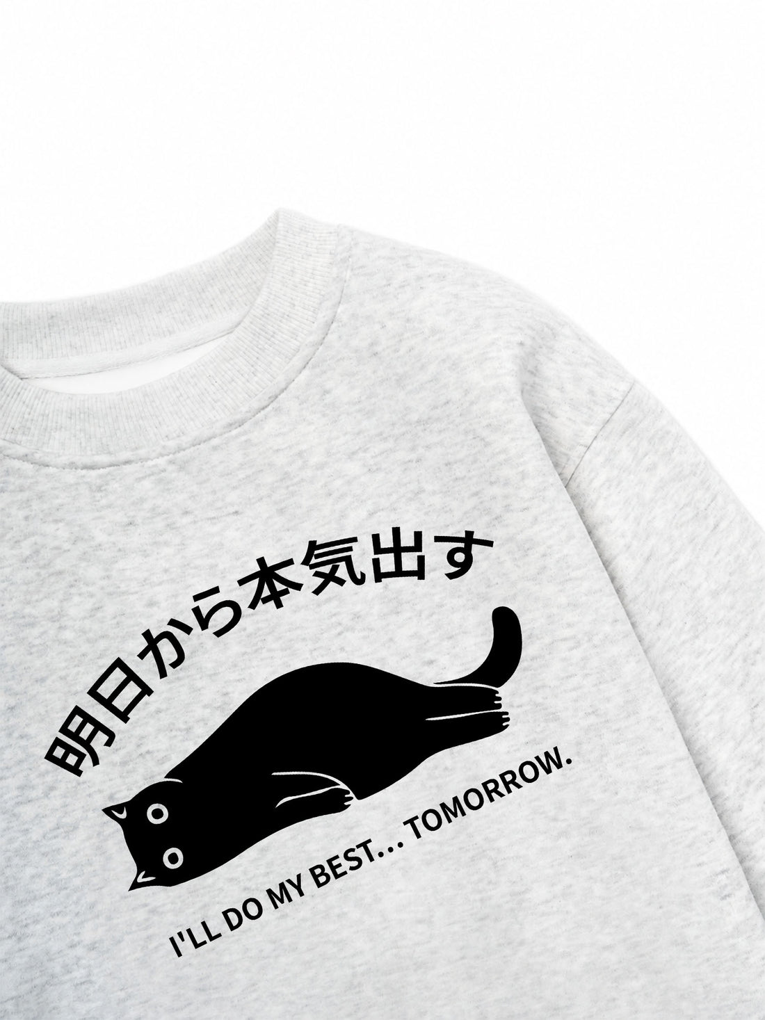 Áo Sweater Nỉ Hai Da I Will Do My Best Tomorrow