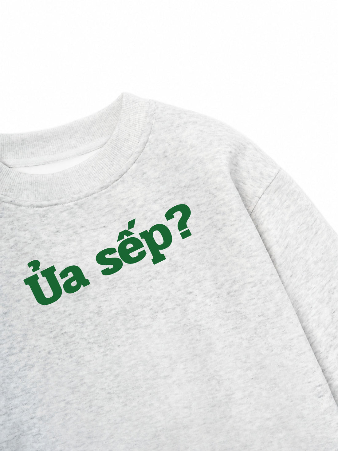 Áo Sweater Nỉ Hai Da Ủa Sếp