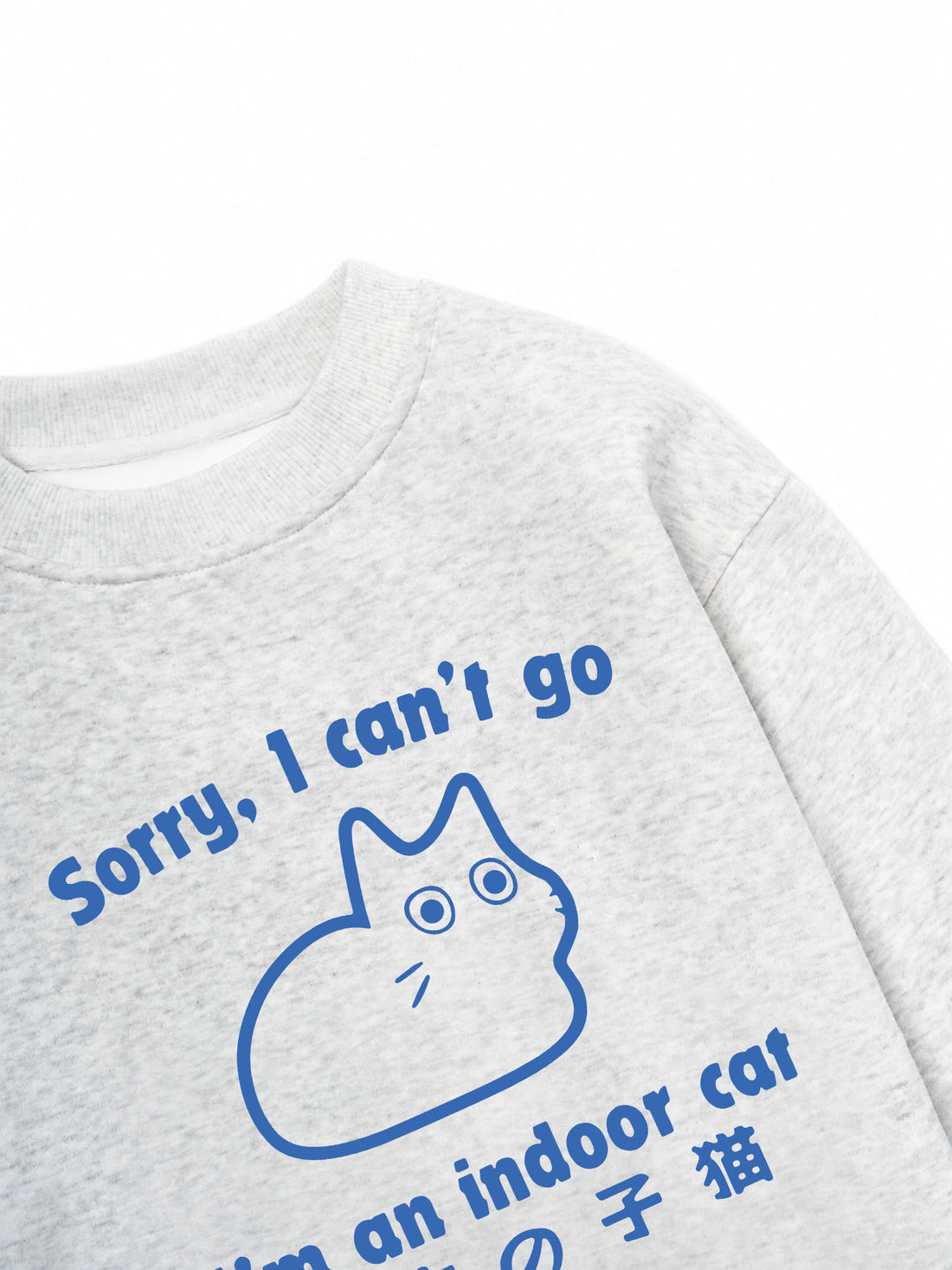 Áo Sweater Nỉ Hai Da I'm An Indoor Cat