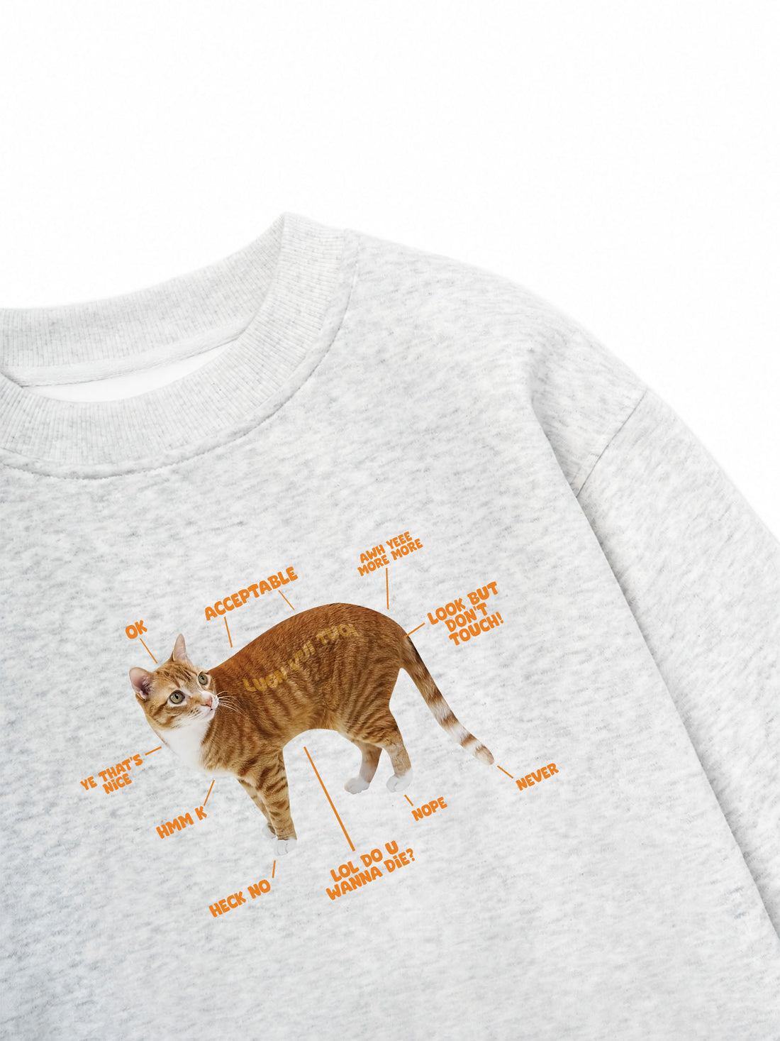 Áo Sweater Nỉ Hai Da Meo Meo Map To Touch