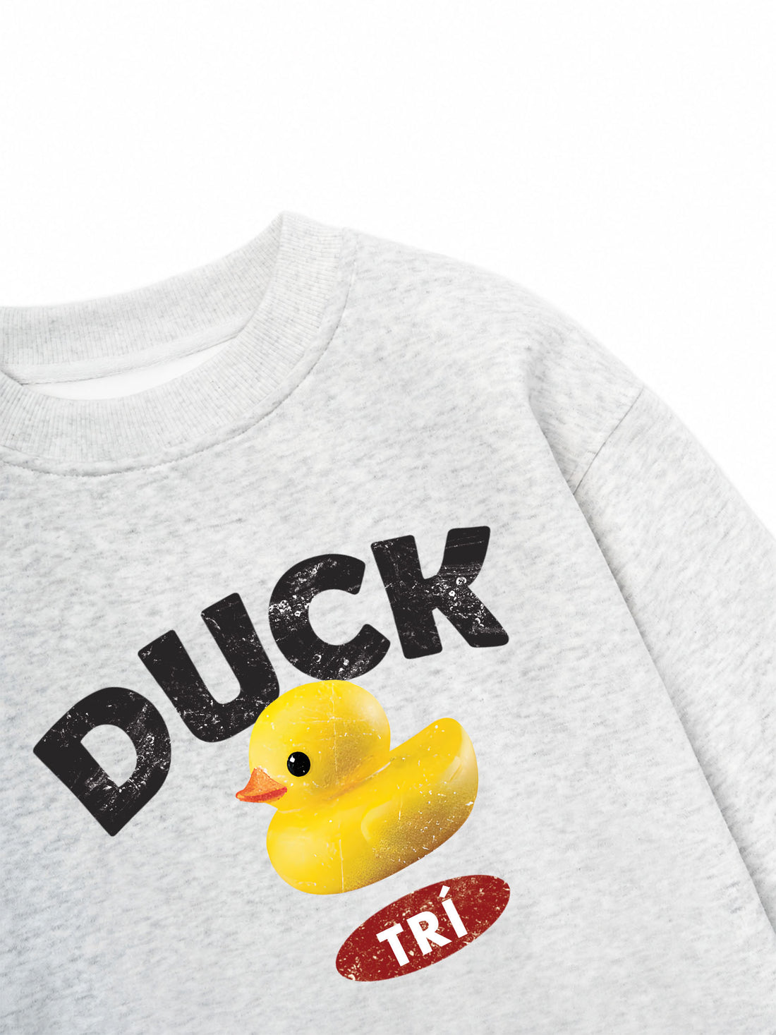 Áo Sweater Nỉ Hai Da DUCK TRÍ