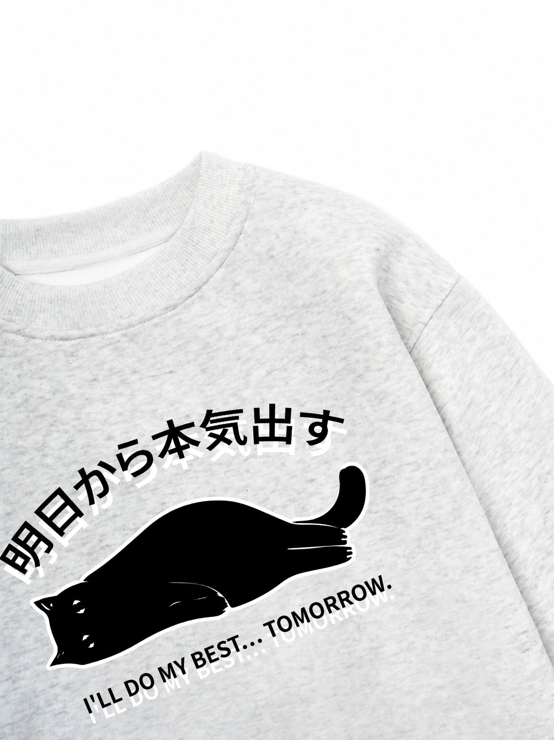 Áo Sweater Nỉ Hai Da I Will Do My Best Tomorrow