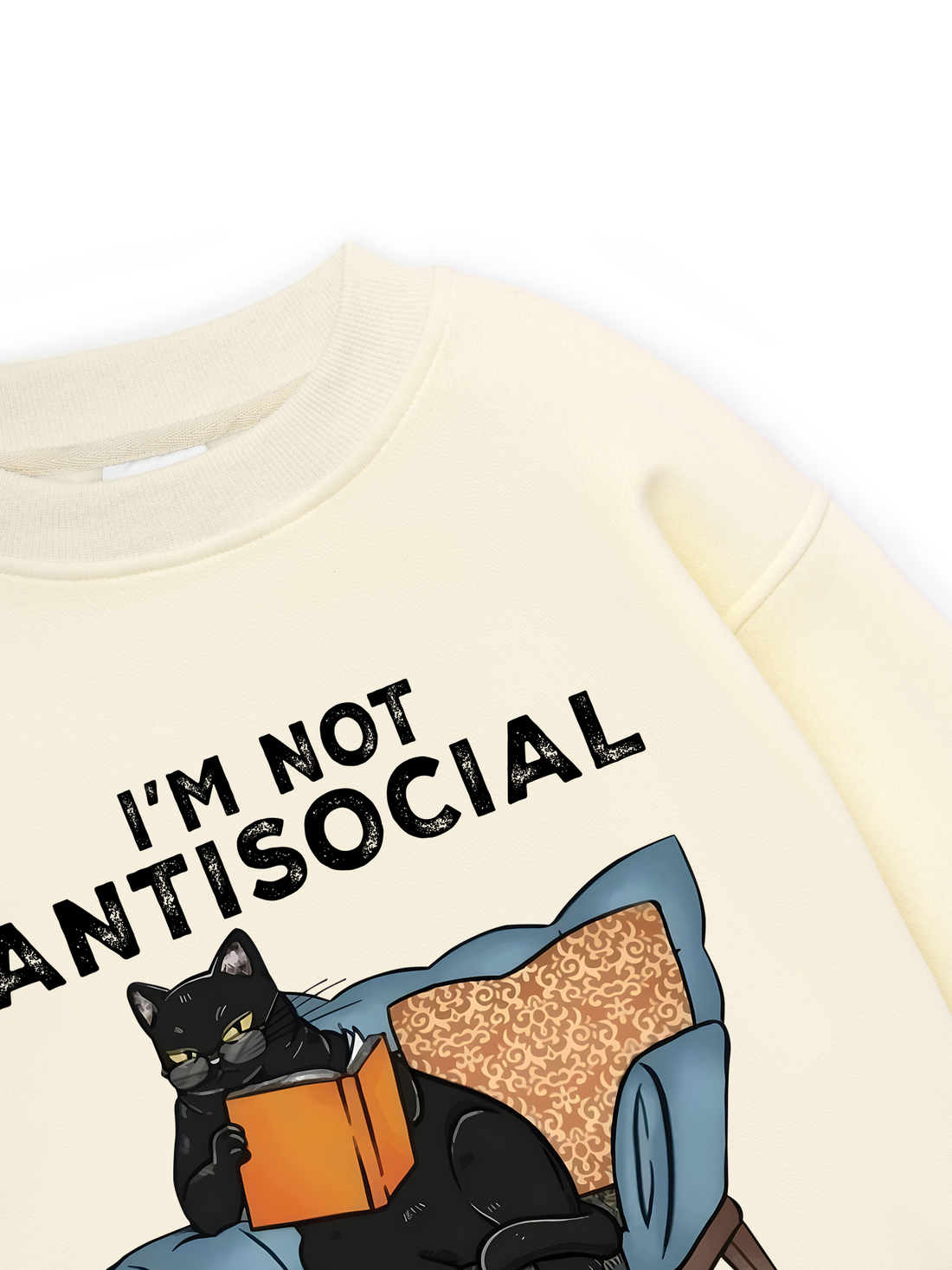 I'm Not Antisocial Sweater