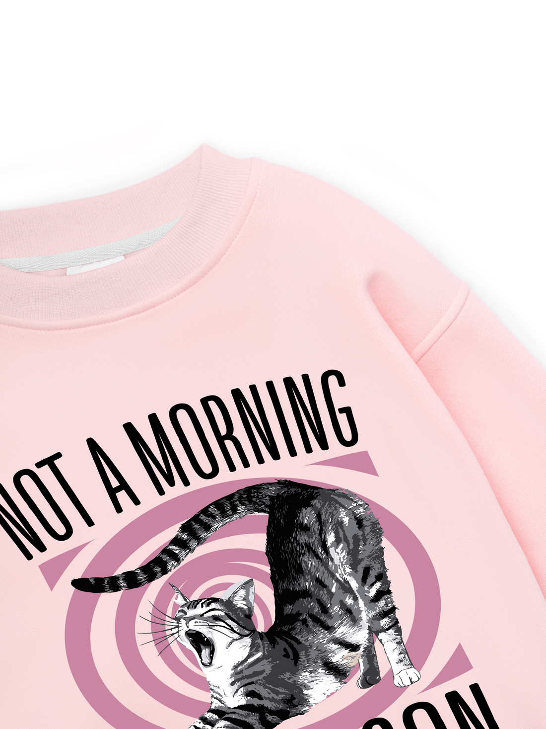 Not A Morning Purrrson Sweater