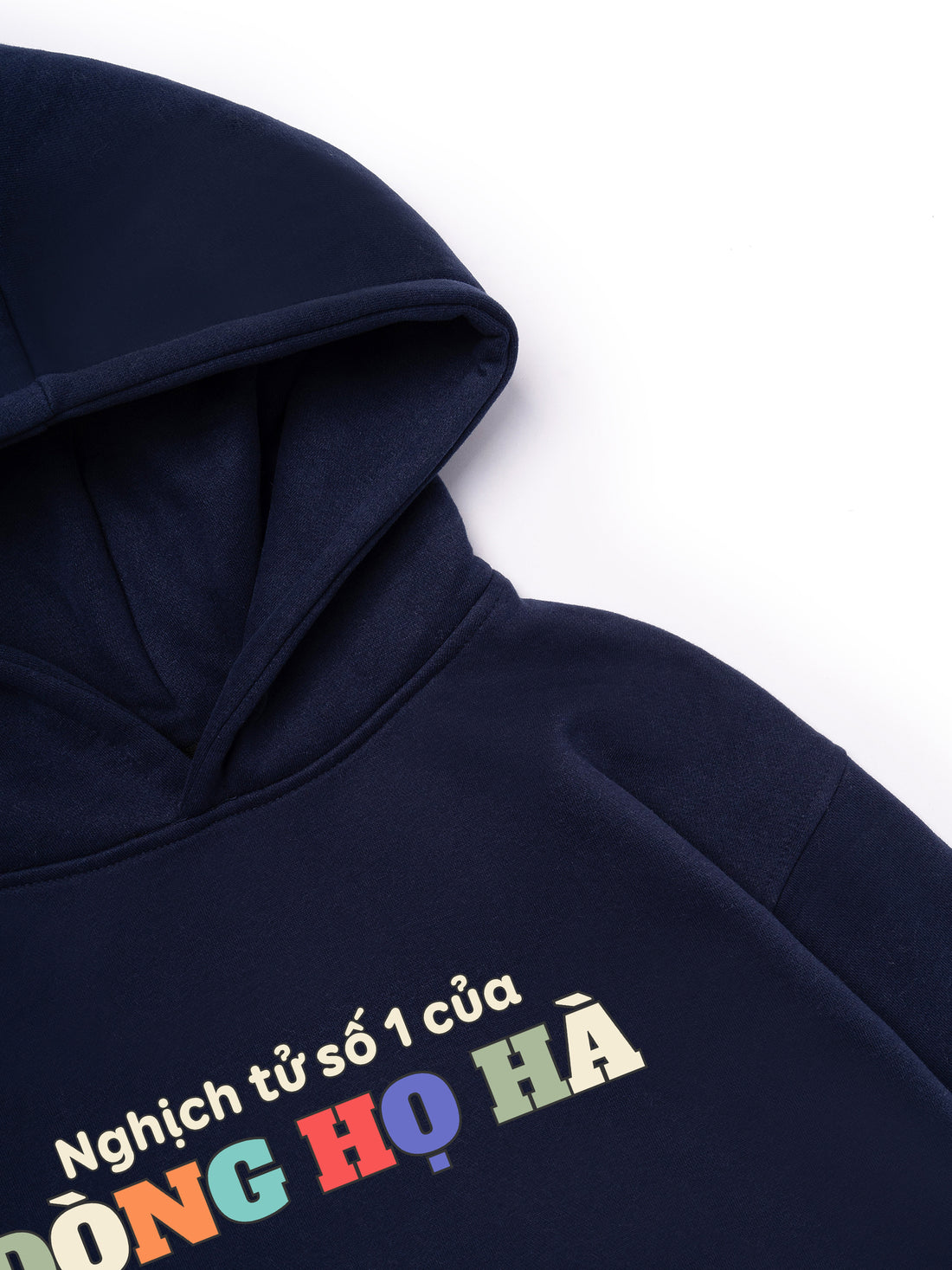 Nghịch Tử Số 1 Họ Hà Hoodie