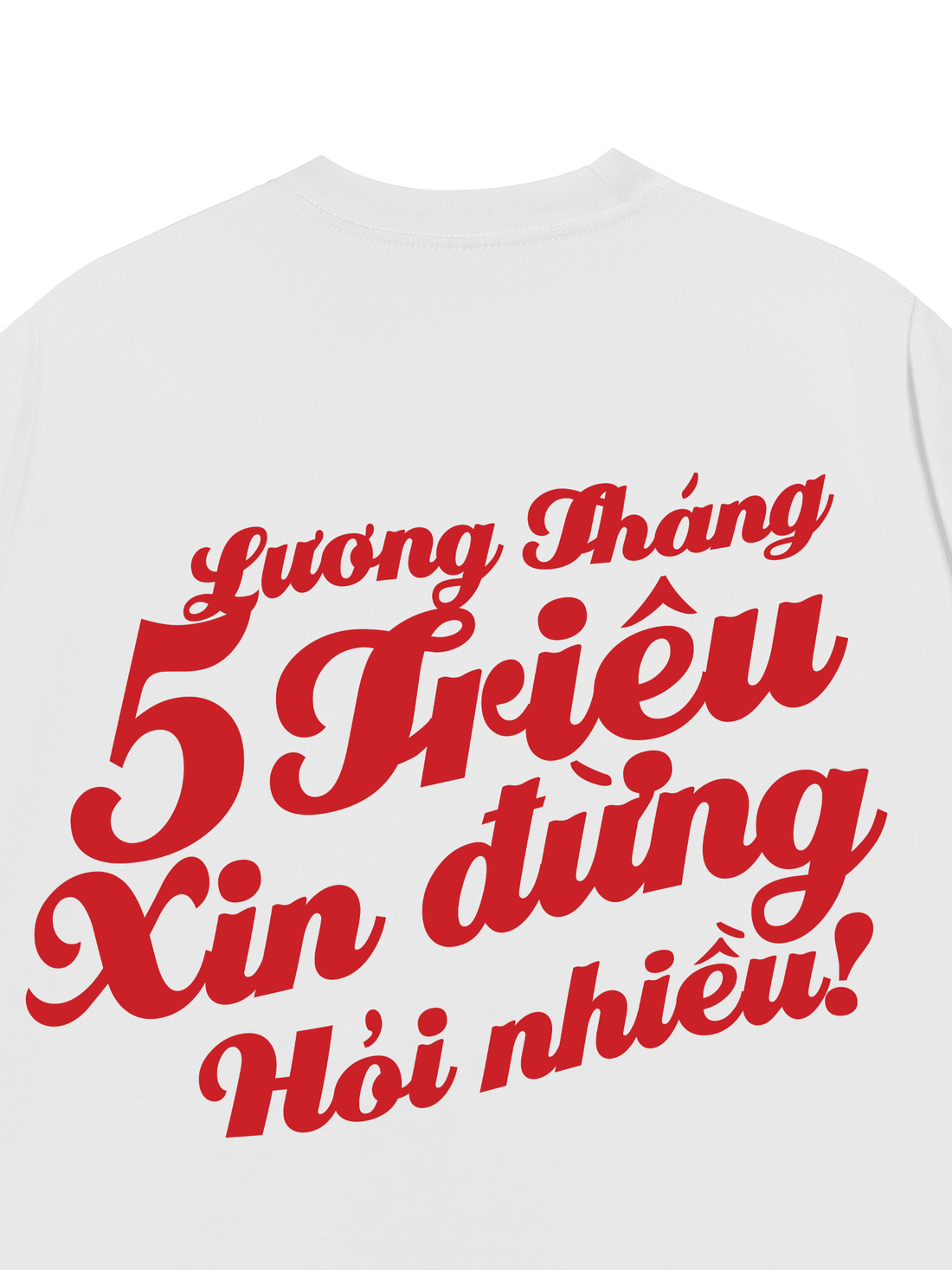 Áo Thun Lương Tháng 5 Triệu Xin Đừng Hỏi Nhiều
